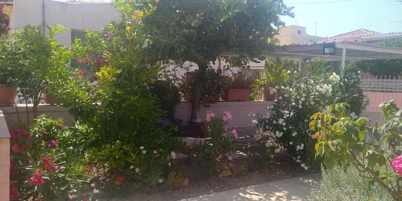 Apartment House *